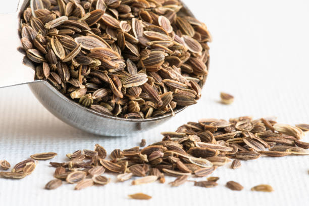 Organic Dill Seeds